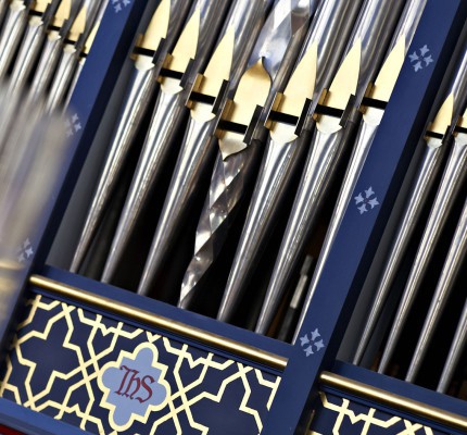 The Organs in the Cathedral