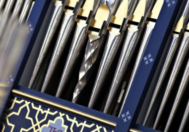The Organs in the Cathedral